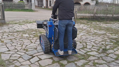 Minipala Rippa RS04 compatta in vendita